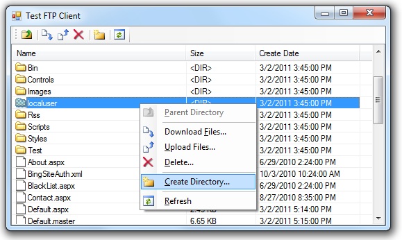 ScreenShot of FtpClient User Control